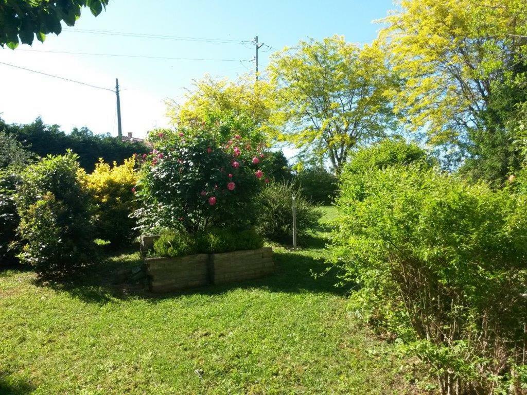 Casavittorio Bed and Breakfast San Giovanni In Marignano Εξωτερικό φωτογραφία